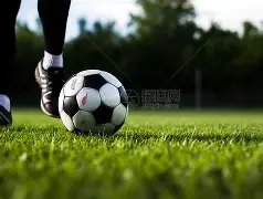 谈球吧,产品,谈球吧官网,谈球吧官网,谈球吧品牌,谈球吧精彩