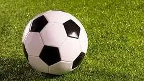 谈球吧 产品 235108 ea5