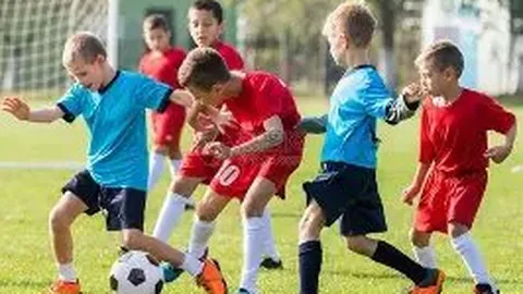 谈球吧 产品 093316 evq