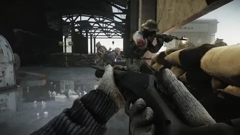 阿劳霍心理恢复历程：成长与成熟